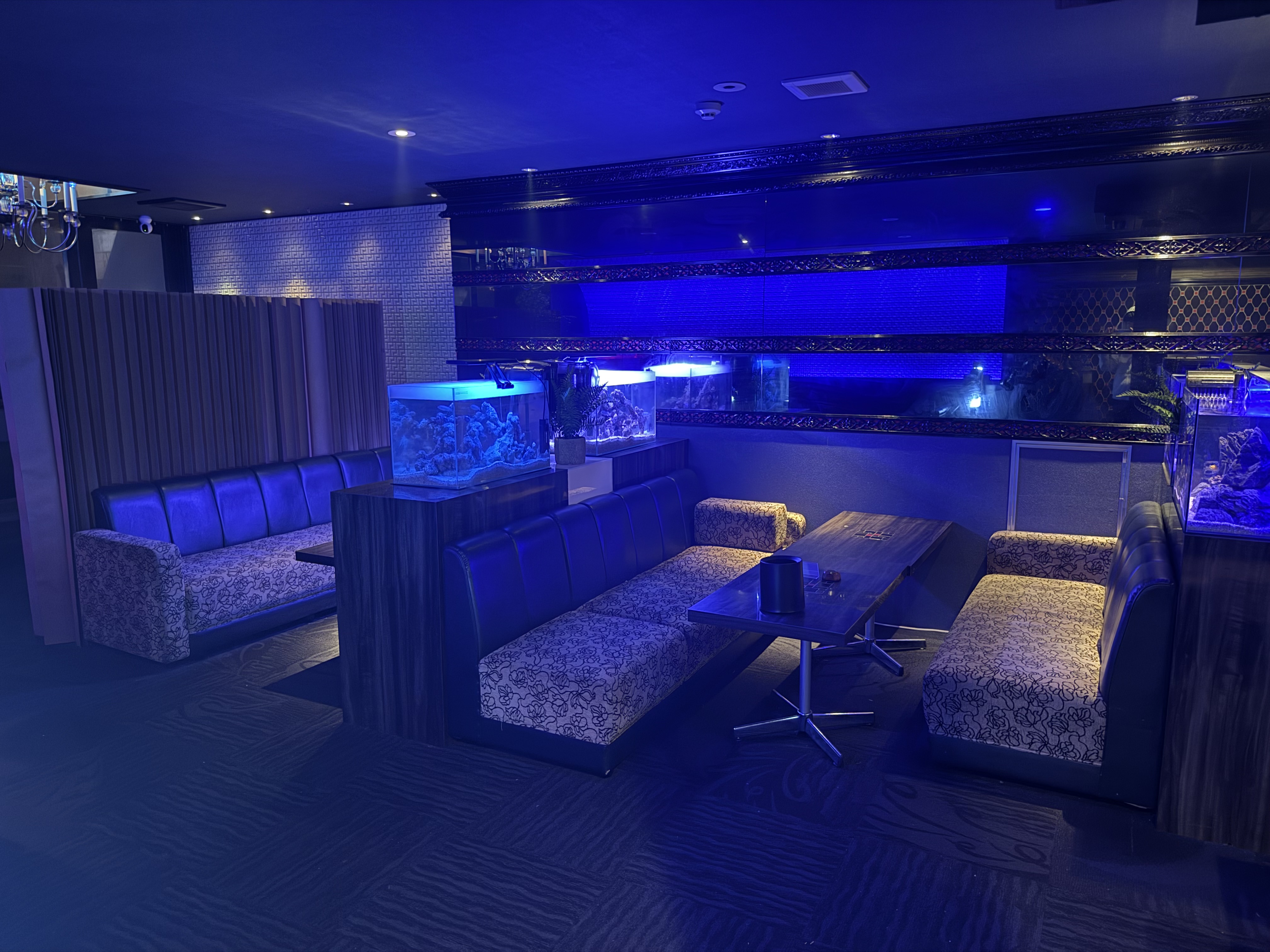 shisha lounge 漂 店内